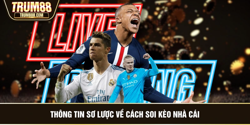 Thông tin sơ lược về cách soi kèo nhà cái