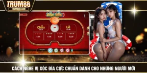 Cách Nghe Vị Xóc Đĩa Cực Chuẩn Dành Cho Những Người Mới