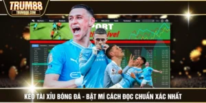 Kèo Tài Xỉu Bóng Đá - Bật Mí Cách Đọc Chuẩn Xác Nhất