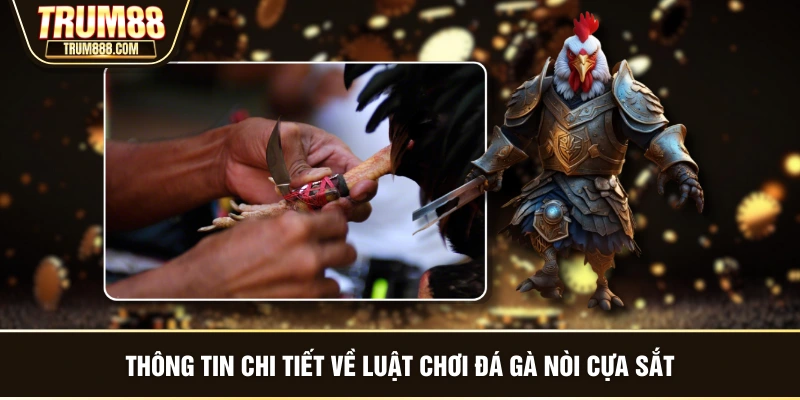 Thông tin chi tiết về luật chơi đá gà nòi cựa sắt
